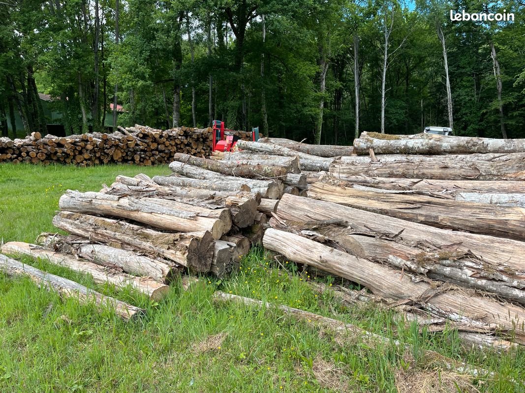 Stock de troncs sur l'exploitation Prodico à Dureil